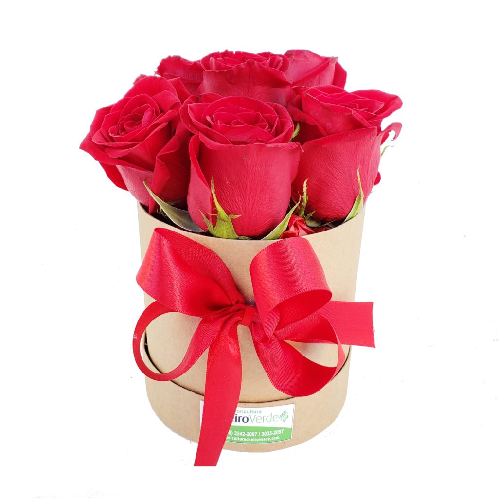 Flowerbox Com 6 Rosas Importadas Cod A 900 Floricultura Cheiro